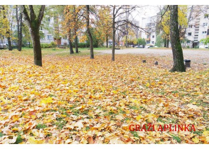 PARDUODAMAS 2 KAMBARIŲ BUTAS ŠVYTURIO G., ANTAKALNYJE